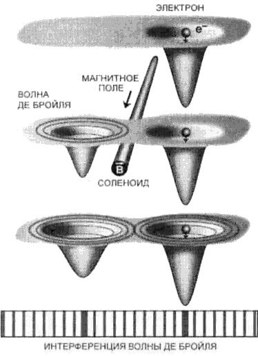 Fig6.gif (30492 bytes)